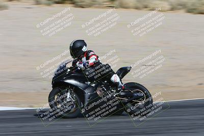 media/Feb-04-2024-SoCal Trackdays (Sun) [[91d6515b1d]]/4-Bowl Backside (11am)/